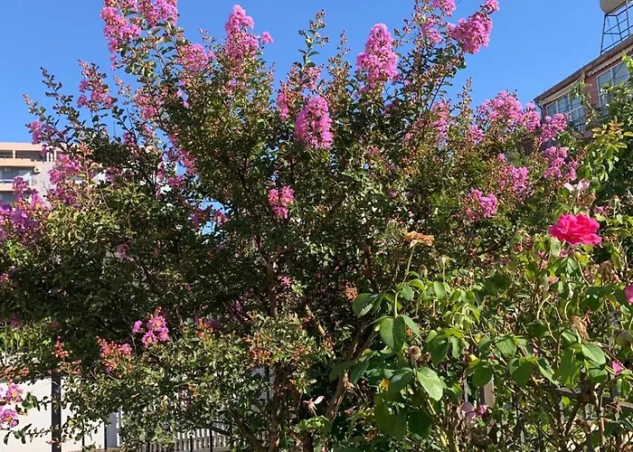 アパート Kapo Vlorë